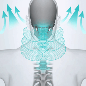 NeckSupport